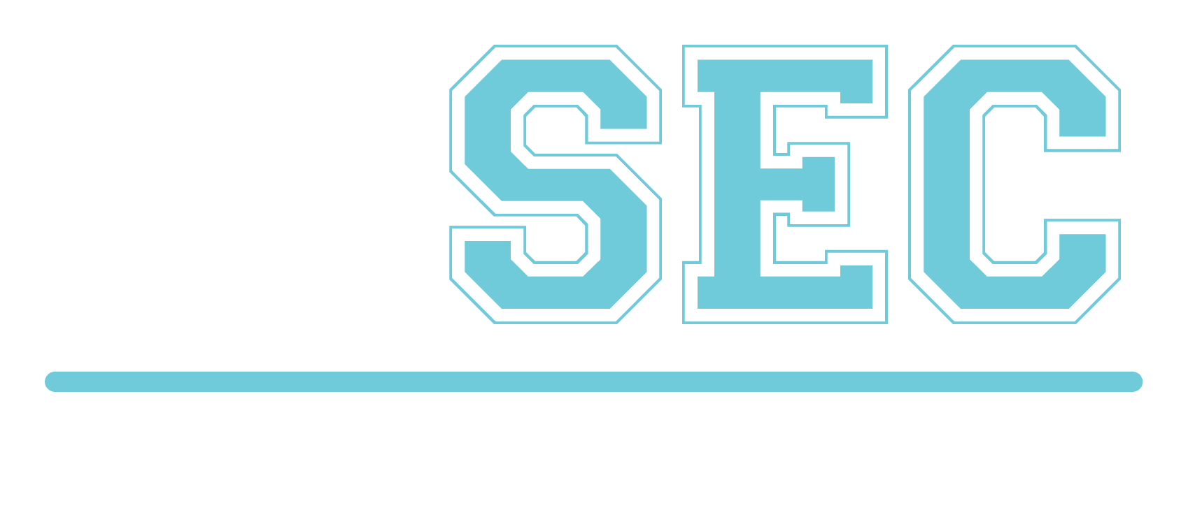AISec University